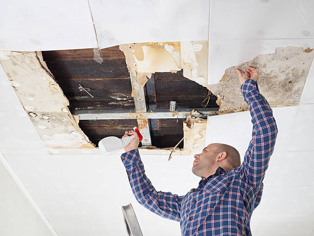 Best Mold Documentation for Insurance Claims  in Wilmington Manor, DE